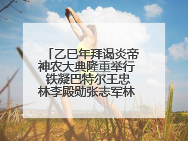 乙巳年拜谒炎帝神农大典隆重举行 铁凝巴特尔王忠林李殿勋张志军林中森等出席 孙伟主持