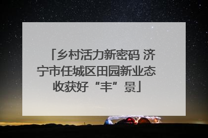 乡村活力新密码 济宁市任城区田园新业态收获好“丰”景