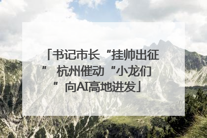 书记市长“挂帅出征” 杭州催动“小龙们”向AI高地进发