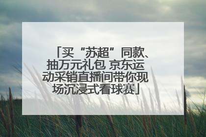 买“苏超”同款、抽万元礼包 京东运动采销直播间带你现场沉浸式看球赛