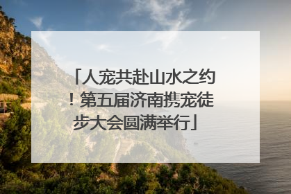 人宠共赴山水之约！第五届济南携宠徒步大会圆满举行