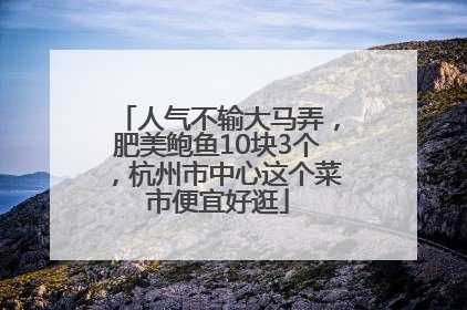 人气不输大马弄，肥美鲍鱼10块3个，杭州市中心这个菜市便宜好逛