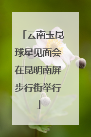 云南玉昆球星见面会在昆明南屏步行街举行