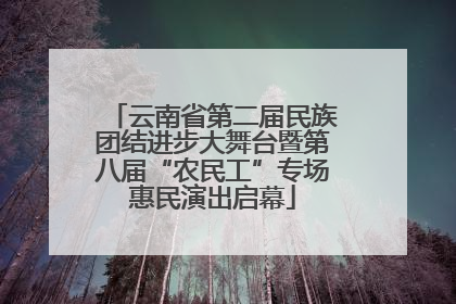 云南省第二届民族团结进步大舞台暨第八届“农民工”专场惠民演出启幕