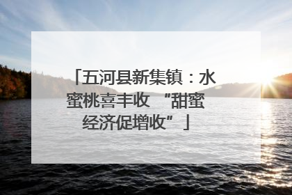 五河县新集镇：水蜜桃喜丰收 “甜蜜经济促增收”