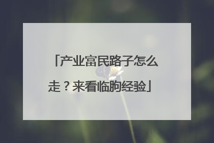 产业富民路子怎么走？来看临朐经验