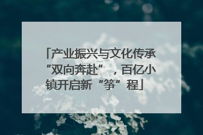 产业振兴与文化传承“双向奔赴”，百亿小镇开启新“筝”程