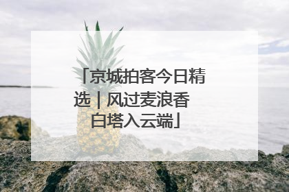京城拍客今日精选｜风过麦浪香 白塔入云端