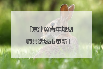 京津冀青年规划师共话城市更新