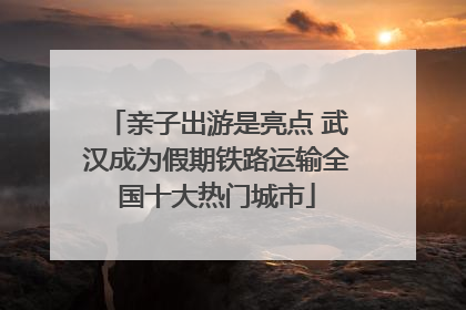 亲子出游是亮点 武汉成为假期铁路运输全国十大热门城市