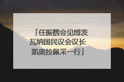 任振鹤会见博茨瓦纳国民议会议长凯奥拉佩采一行