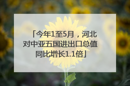 今年1至5月，河北对中亚五国进出口总值同比增长1.1倍