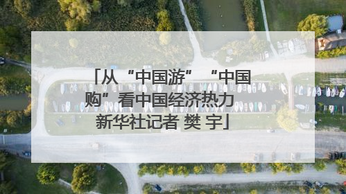 从“中国游”“中国购”看中国经济热力 新华社记者 樊 宇