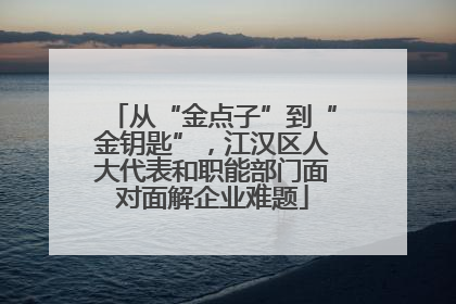 从“金点子”到“金钥匙”，江汉区人大代表和职能部门面对面解企业难题