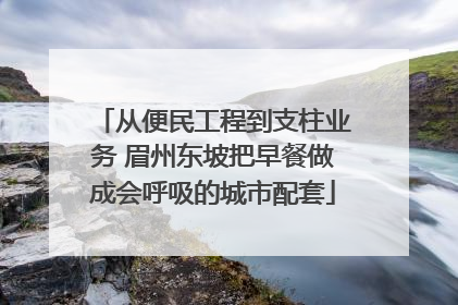 从便民工程到支柱业务 眉州东坡把早餐做成会呼吸的城市配套