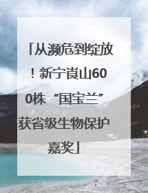 从濒危到绽放！新宁崀山600株“国宝兰”获省级生物保护嘉奖