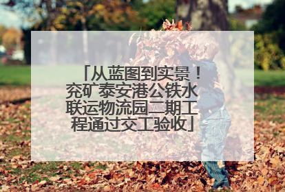 从蓝图到实景！兖矿泰安港公铁水联运物流园二期工程通过交工验收