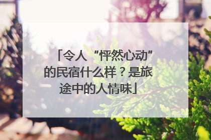令人“怦然心动”的民宿什么样？是旅途中的人情味