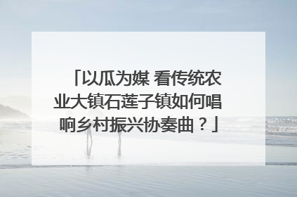 以瓜为媒 看传统农业大镇石莲子镇如何唱响乡村振兴协奏曲？