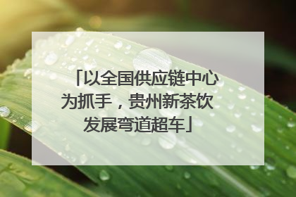 以全国供应链中心为抓手，贵州新茶饮发展弯道超车