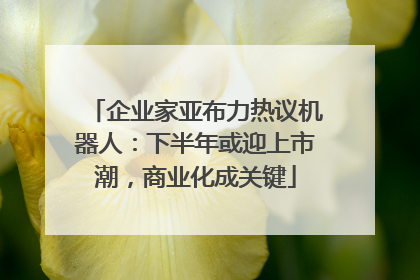 企业家亚布力热议机器人：下半年或迎上市潮，商业化成关键