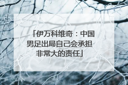 伊万科维奇：中国男足出局自己会承担非常大的责任