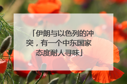 伊朗与以色列的冲突，有一个中东国家态度耐人寻味