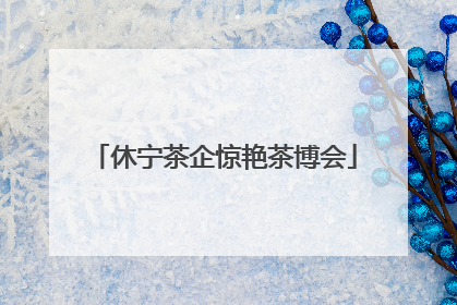 休宁茶企惊艳茶博会