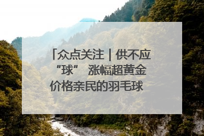众点关注｜供不应“球” 涨幅超黄金 价格亲民的羽毛球为何身价飞涨？