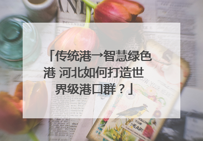 传统港→智慧绿色港 河北如何打造世界级港口群？