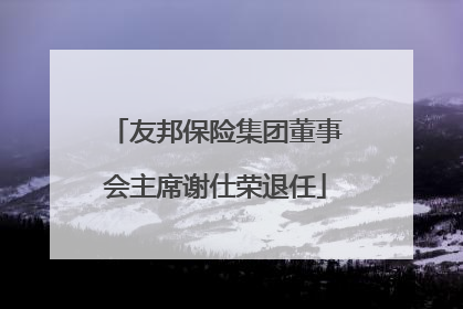 友邦保险集团董事会主席谢仕荣退任
