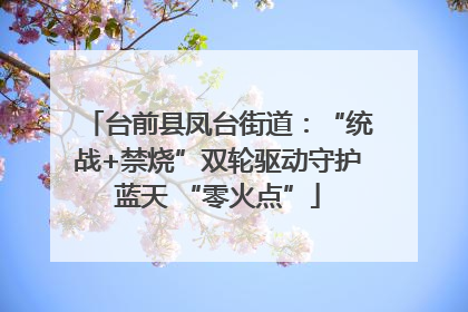 台前县凤台街道：“统战+禁烧”双轮驱动守护蓝天 “零火点”