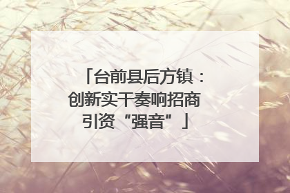 台前县后方镇：创新实干奏响招商引资“强音”
