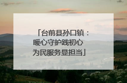 台前县孙口镇：暖心守护践初心 为民服务显担当