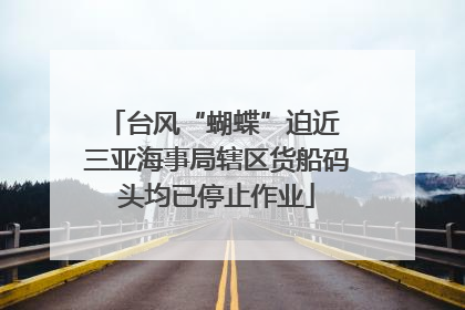 台风“蝴蝶”迫近 三亚海事局辖区货船码头均已停止作业
