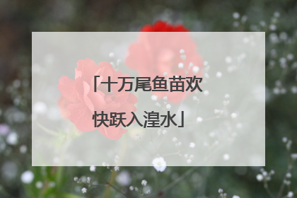 十万尾鱼苗欢快跃入湟水