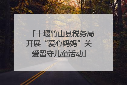 十堰竹山县税务局开展“爱心妈妈”关爱留守儿童活动