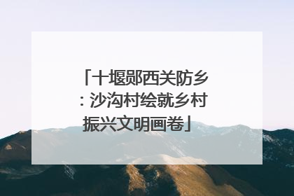 十堰郧西关防乡：沙沟村绘就乡村振兴文明画卷