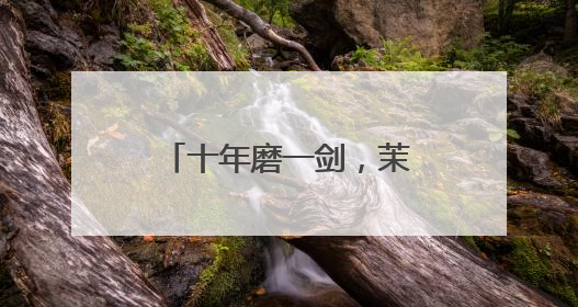 十年磨一剑，茉酸奶创始人打造现制酸奶知名品牌