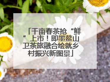 千亩春茶抢“鲜”上市！即墨鳌山卫茶旅融合绘就乡村振兴新图景