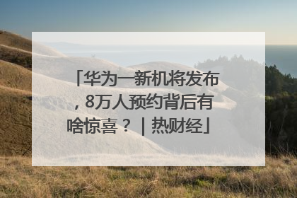 华为一新机将发布，8万人预约背后有啥惊喜？｜热财经