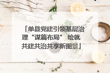 单县党建引领基层治理“谋篇布局” 绘就共建共治共享新图景