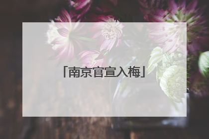 南京官宣入梅