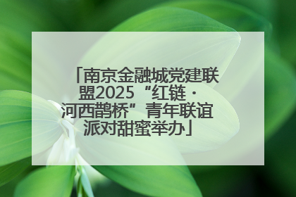 南京金融城党建联盟2025“红链・河西鹊桥”青年联谊派对甜蜜举办