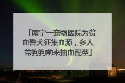 南宁一宠物医院为贫血警犬征集血源，多人带狗狗前来抽血配型