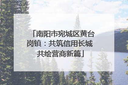 南阳市宛城区黄台岗镇：共筑信用长城 共绘营商新篇