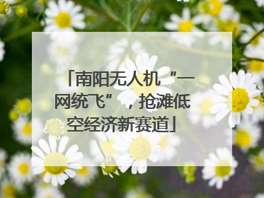 南阳无人机“一网统飞”，抢滩低空经济新赛道