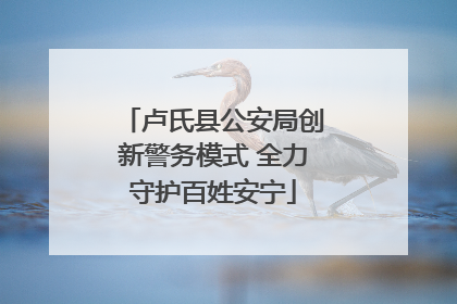 卢氏县公安局创新警务模式 全力守护百姓安宁
