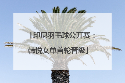 印尼羽毛球公开赛：韩悦女单首轮晋级
