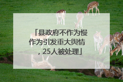 县政府不作为慢作为引发重大舆情，25人被处理